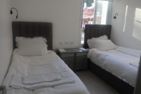 Amazing vacation unit in Geula